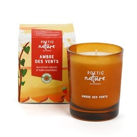 Bougie parfumée Ambre Des Vents