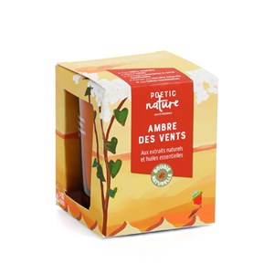 Bougie parfumée Ambre Des Vents