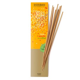 Bâtonnets encens bois cannelle naturel