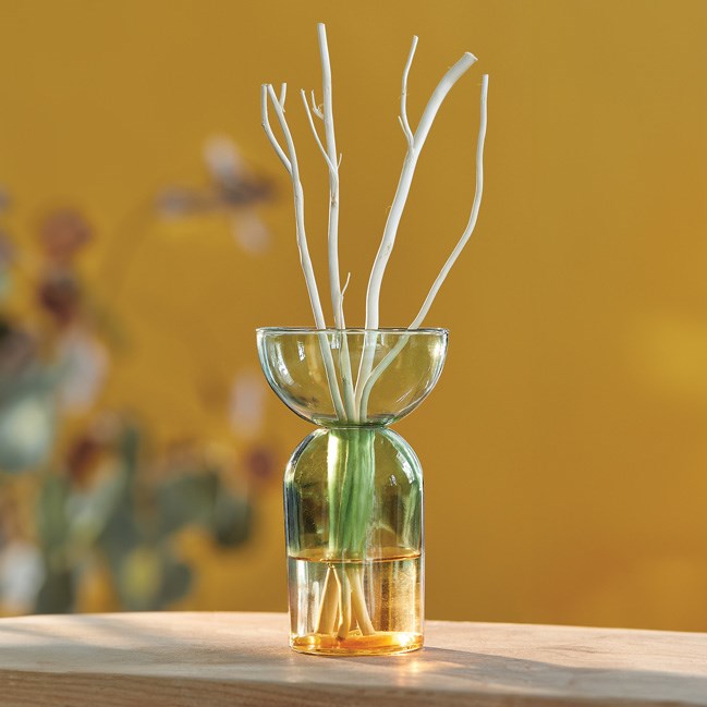 Nature & Découvertes - Diffuseur de parfum Niji