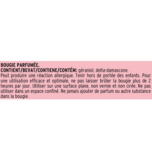 Bougie parfumée Mila Rose