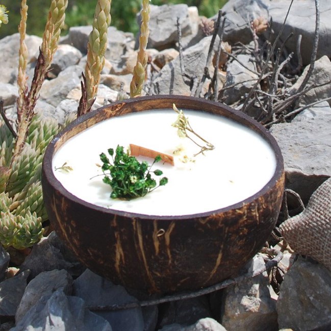 Bougie à planter Mon beau sapin