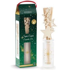 Bouquet parfumé d'intérieur Sapin Exquis 100 ml Esteban
