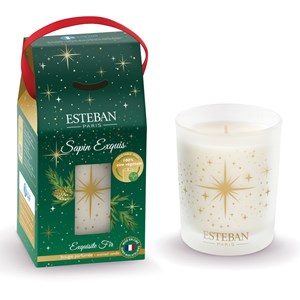 Bougie parfumée Sapin Exquis 180 g Esteban