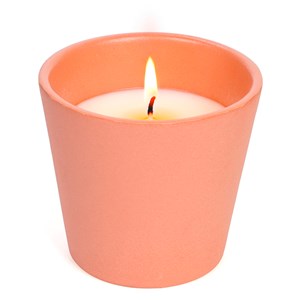 Bougie d'extérieur parfumée citronnelle SOS été en cire végétale terre d'Oc Pot terracotta