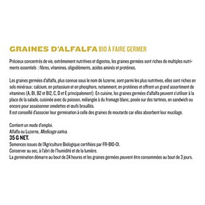 Graines d'alfalfa à faire germer