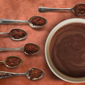 6 chocolats en poudre aromatisés bio