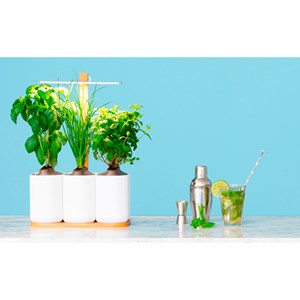 Jardin potager d'intérieur Lilo 4