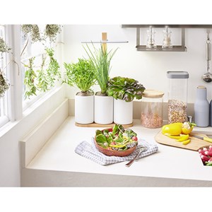 Jardin potager d'intérieur Lilo 4