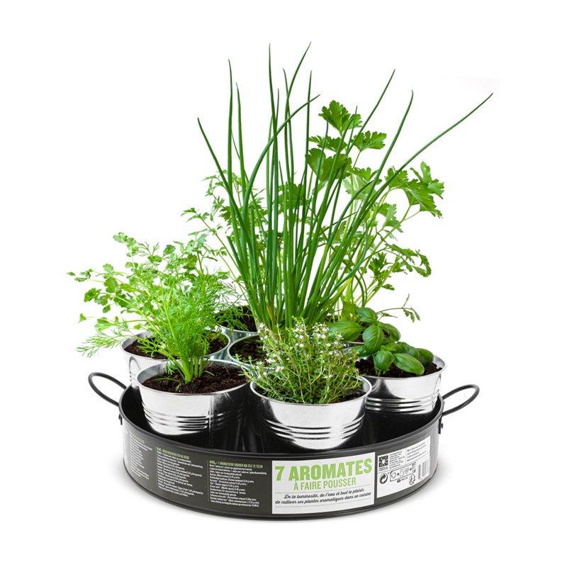 Nature & Découvertes - Plateau de 7 aromates à cultiver