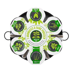 Plateau de 7 aromates à cultiver