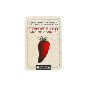 Graines tomate andine cornue à cultiver