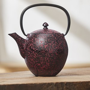 Filtre 80mm  pour 61170790 et 61170690