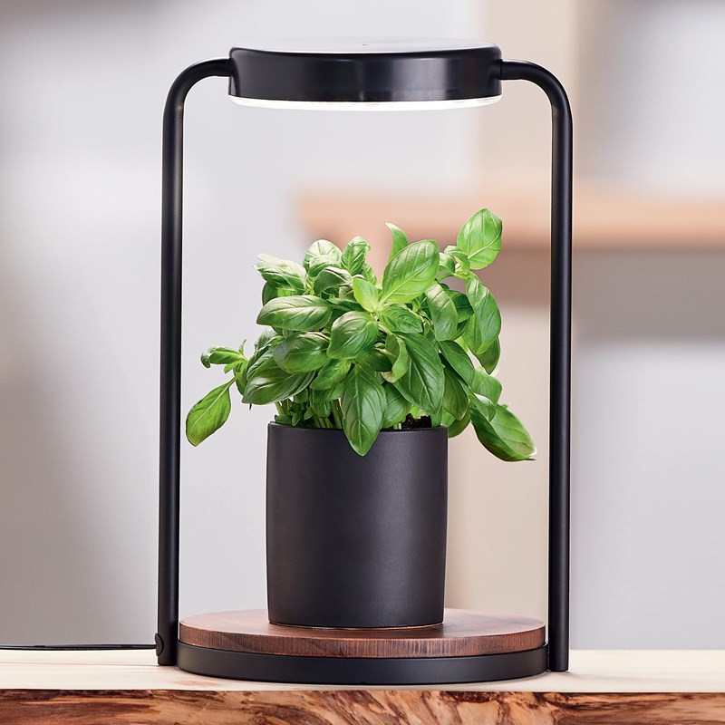 Nature & Découvertes - Lampe horticole Ilyios