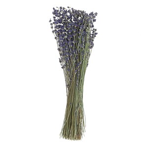 Bouquet bio de lavande à infuser