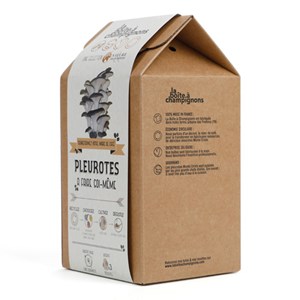 Kit DIY pleurotes à choisir
