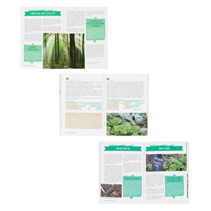 Kit débutant permaculture bio