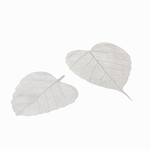 2 filtres à thé feuilles