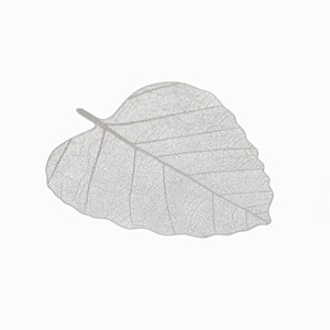 2 filtres à thé feuilles