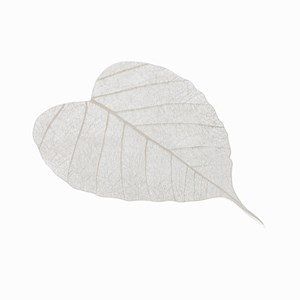 2 filtres à thé feuilles