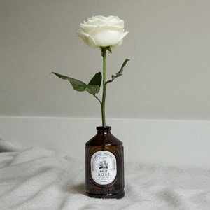 Coffret sirops pour cocktails Bacanha