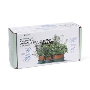 Plateau 6 aromates à cultiver