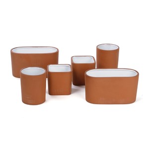 Plateau 6 aromates à cultiver