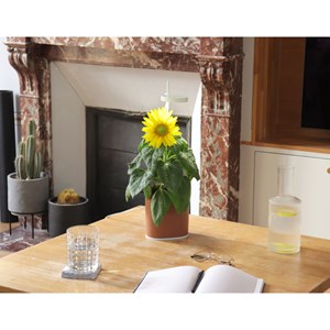 Potager connecté Nano Garden terracotta