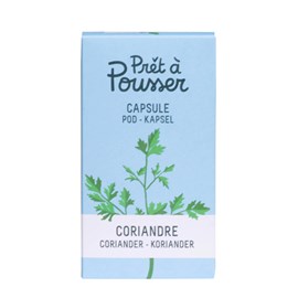 Capsule de graines coriandre