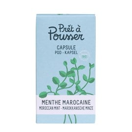 Capsule de graines bio menthe marocaine