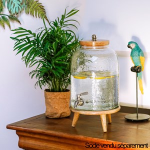 Fontaine à boisson en verre et manguier