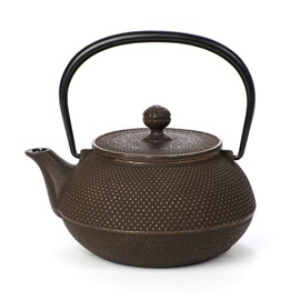 Théière japonaise en fonte brune
