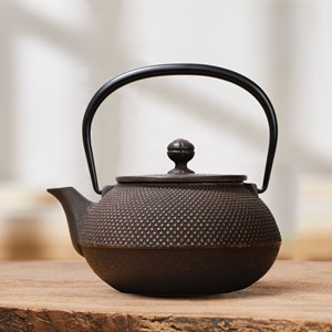 Théière japonaise en fonte brune