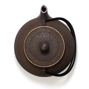 Théière japonaise en fonte brune