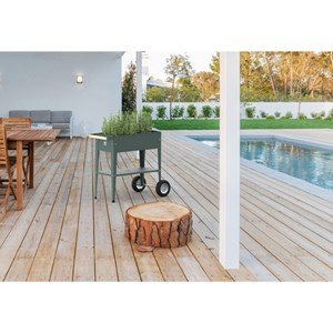 Potager surélevé à roulettes Vert