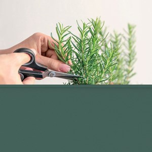 Potager surélevé à roulettes Vert