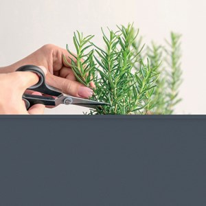 Potager surélevé à roulettes Anthracite