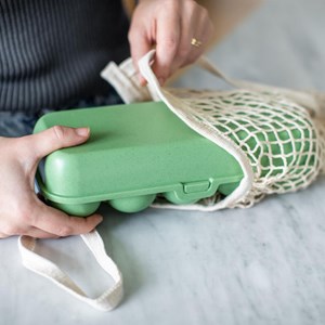 Boîte réutilisable 10 œufs vert