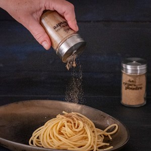 Cèpes séchés français en poudre