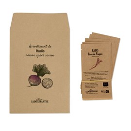 5 sachets graines de radis bio