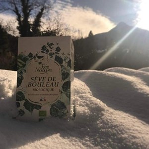 Sève de bouleau bio