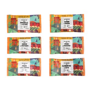 Coffret infusettes thés des régions bio