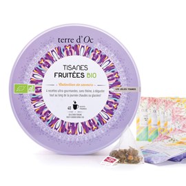 Coffret 40 infusettes tisanes fruits bio