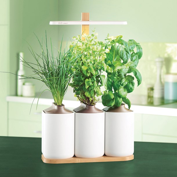 Prêt À Pousser - Lilo Connect potager intérieur connecté