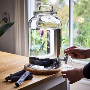 4 charbons actifs filtrants