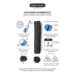 4 charbons actifs filtrants