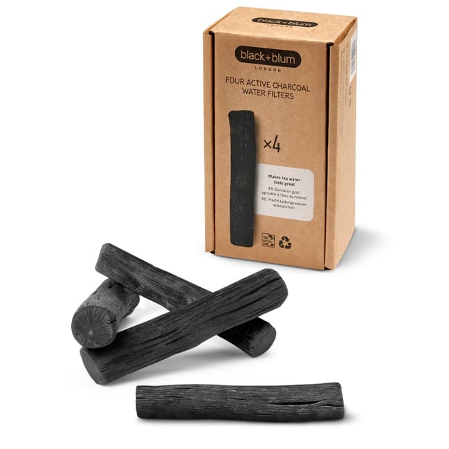 Filtre à Charbon Actif CATA 02846762 - Pour Hottes Aspirantes Pluto Et Basic - Noir