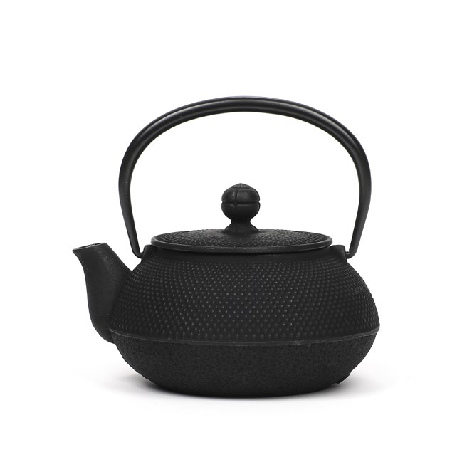 Iwachu - Théière japonaise Iwachu