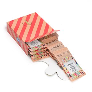 Surprises de Noël thés bio bonhomme