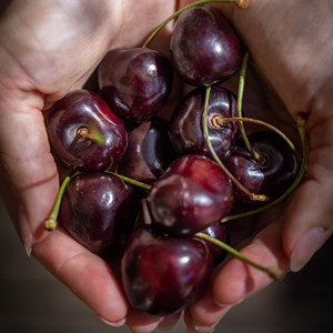 Thé noir cerise du Sud-Ouest bio